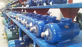 Crane motor